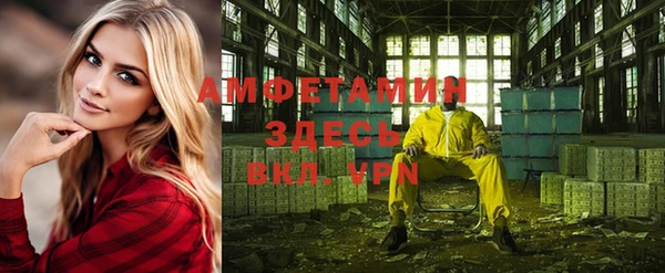 дмт Абаза
